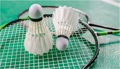 Productos de Badminton en ZonaIndoor